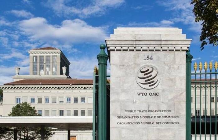 "التجارة
      العالمية":
      توقعات
      بتعافي
      تجارة
      السلع
      في
      2024