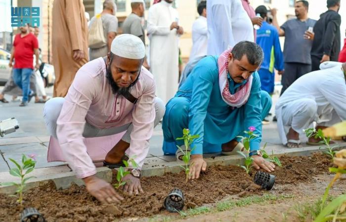 مبادرة لزراعة 300 شجرة بجوار المسجد النبوي