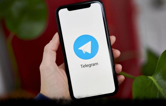 يطلق
Telegram
تحديثات
ضخمة
لاستعادة
ثقة
مستخدميه
من
جديد