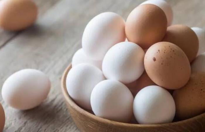 الحكومة
      الأمريكية
      ترفع
      دعوى
      ضد
      كاليفورنيا
      بسبب
      أسعار
      البيض