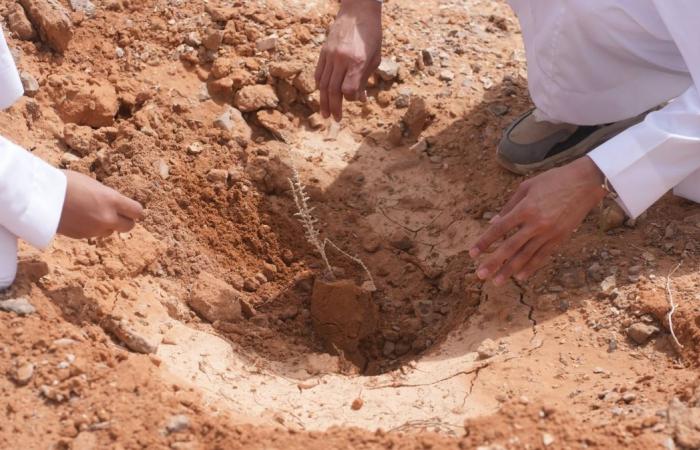 هيئة تطوير محمية الملك سلمان بن عبدالعزيز الملكية تطلق حملة "نصنع التأثير" لتنمية الغطاء النباتي