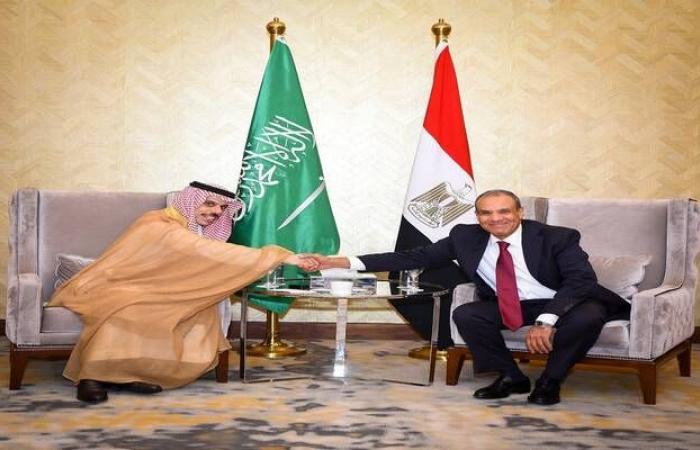 مصر
      والسعودية:
      رفض
      كامل
      لأي
      محاولات
      للإساءة
      للعلاقات
      التاريخية
      بين
      البلدين