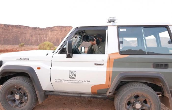 هيئة تطوير محمية الملك سلمان بن عبدالعزيز الملكية تفعل اليوم العالمي للجوالين