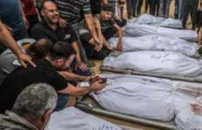 12 شهيدا ومصابون فى استهداف إسرائيلى لعناصر تأمين المساعدات شمال غزة