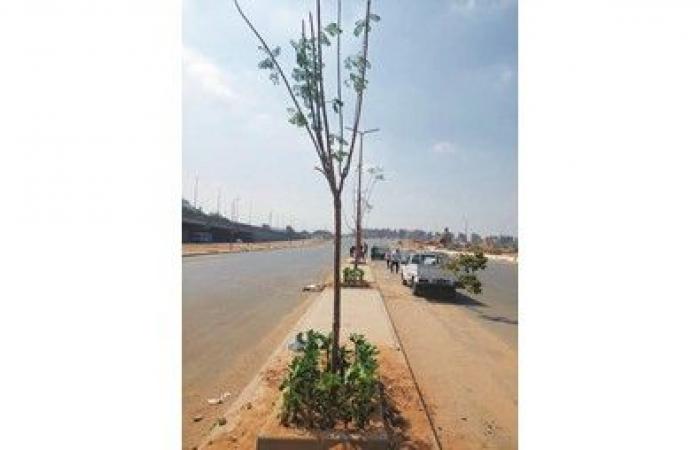 وزيرة
التنمية
المحلية:
بدء
أعمال
زراعة
محور
صلاح
سالم
الجديد
ونسعى
إلى
تعزيز
المظهر
الحضاري
للمحاور
والطرق
الرئيسية