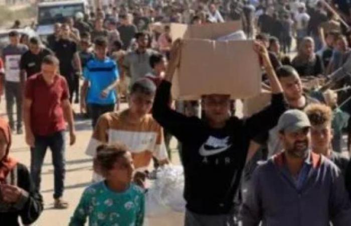 الأونروا: إسرائيل تسعى لتهجير الفلسطينيين قسرا