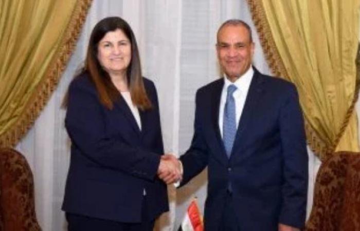 وزير الخارجية يشدد على رفض مصر القاطع لمخططات تهجير الفلسطينيين من أراضيهم
