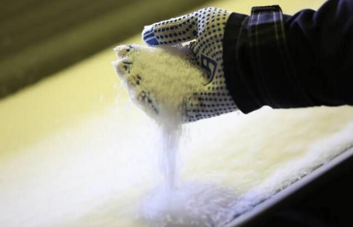 الاتحاد
      الأوروبي
      يفتح
      تحقيقًا
      لمكافحة
      الإغراق
      في
      الأسمدة
      الروسية