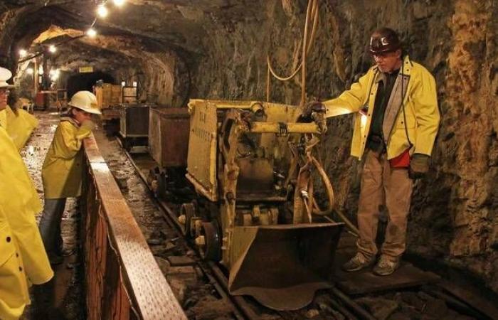 أسهم
      شركات
      الذهب
      تحقق
      قفزة
      قياسية
      في
      2025
      بنسبة
      135%