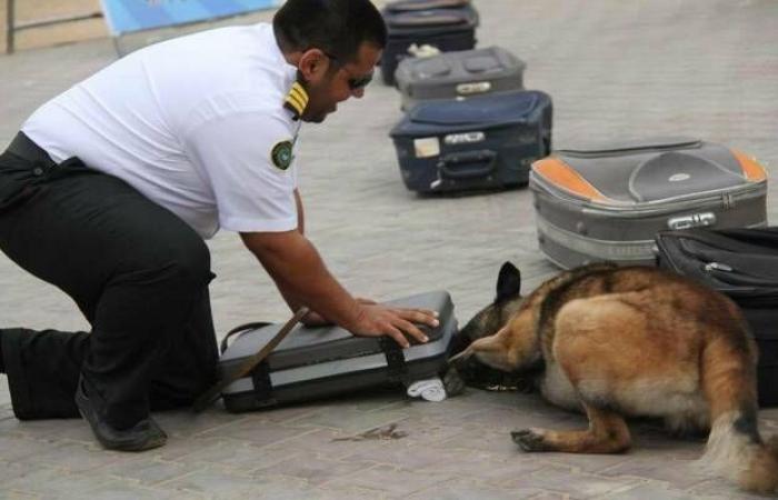 1509
      عمليات
      ضبط
      في
      المنافذ
      الجمركية
      خلال
      أسبوع..
      والأسلحة
      والمخدرات
      في
      الصدارة