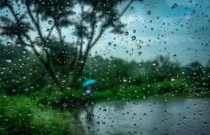 أمطار رعدية تضرب شمال مصر.. والأرصاد تحذر من رياح مثيرة للأتربة