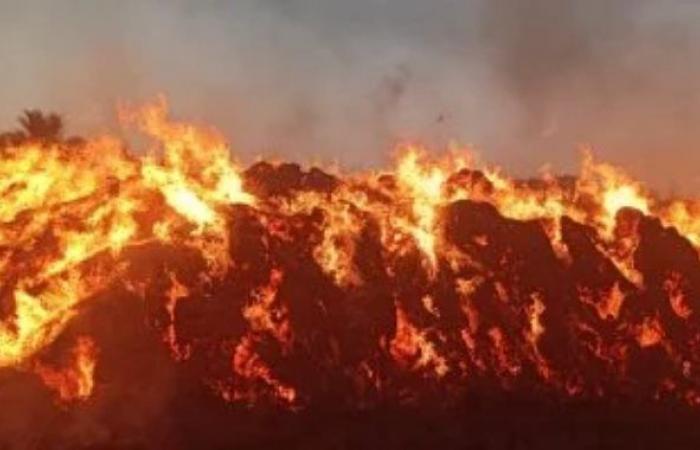 ارتفاع حصيلة ضحايا حريق مركز تسوق بكراتشى الباكستانية لـ 25 شخصا