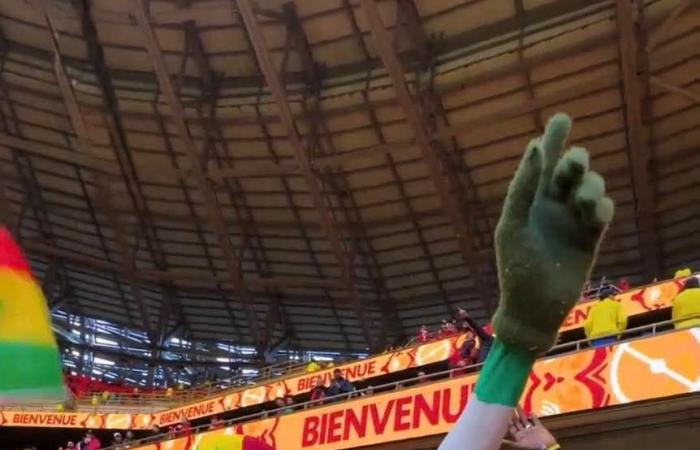 المغرب ضد السنغال.. توافد الجماهير على ملعب نهائى كأس أمم أفريقيا (صور)