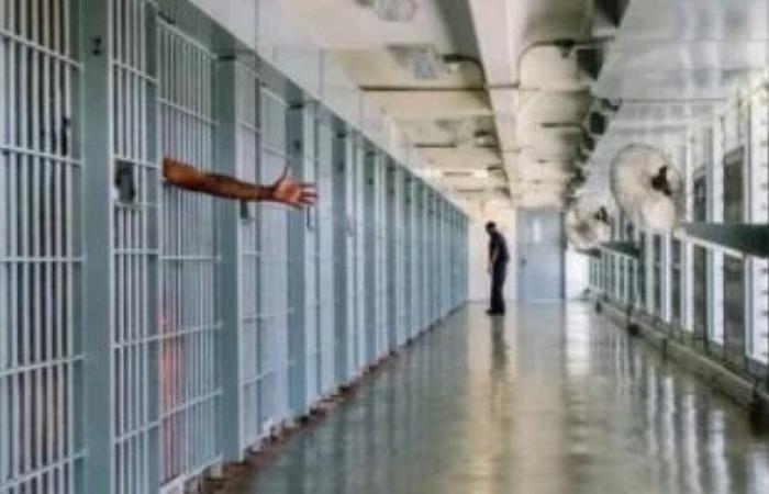 نادى الأسير: الاحتلال الإسرائيلى يعتقل ويحقق ميدانياً مع 130 فلسطينياً