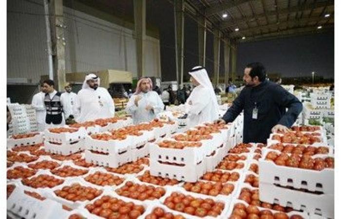 وزير التجارة: من المتوقع وصول حجم الإنتاج المحلي من الطماطم إلى 350 طناً يومياً