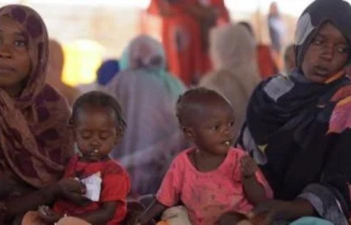 أطباء السودان: مقتل 14 بينهم 5 أطفال جراء قصف قوات الدعم السريع للدلنج