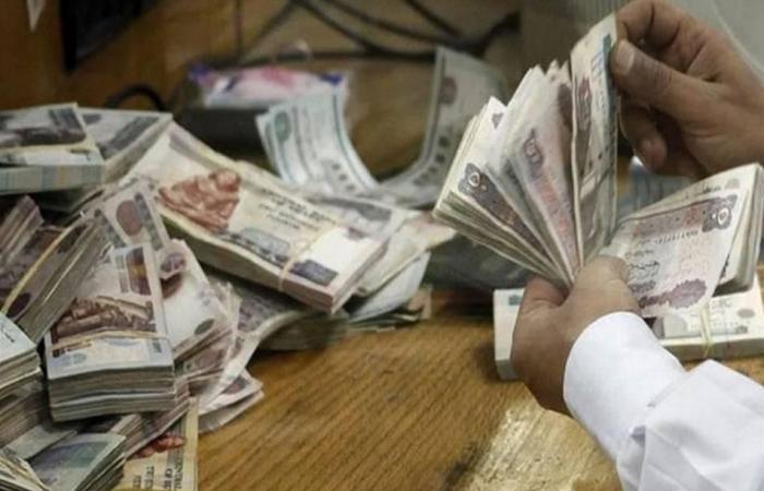 جدول زيادة المرتبات في مصر بالدرجات الوظيفية.. وموعد تطبيق القرار