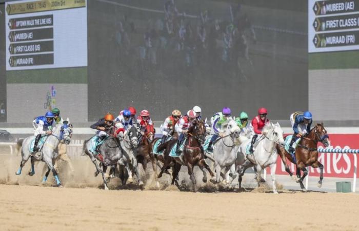«ميدان» يستضيف السباق التجريبي الختامي للخيول العربية