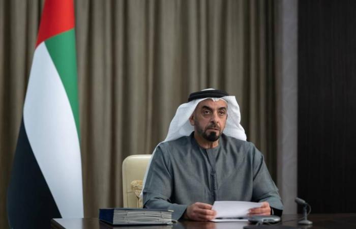 سيف بن زايد: أمن الوطن وسيادته فوق كل اعتبار