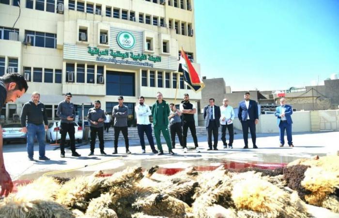 اللجنة الأولمبية العراقية تنحر الذبائح احتفاءً بالصعود للمونديال