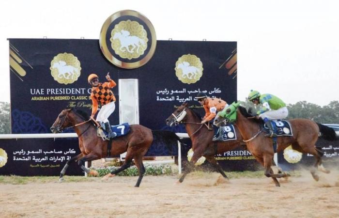 19 جولة بالنسخة 33 من كأس رئيس الدولة للخيول العربية