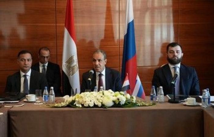 وزير الخارجية: مصر تسخّر كل جهودها الديبلوماسية لوقف التصعيد بالمنطقة