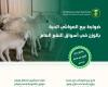 «البيئة» تعلن ضوابط بيع المواشي الحية بالوزن