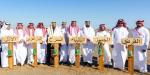شركة المياه الوطنية والمركز الوطني لتنمية الغطاء النباتي يدشنان مشروع تشجير متنزه وادي قديد بزراعة 85 ألف شتلة.