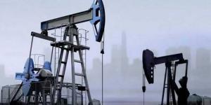 ارتفاع
      أسعار
      النفط
      إلى
      أعلى
      مستوى
      منذ
      29
      مايو