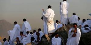 مسؤول
      يكشف
      مصير
      الحجاج
      المصريين
      المتوفين
      في
      السعودية