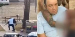 أحمد الأحمد المسلم بطل اليوم في أستراليا بعد تصديه للهجوم الإرهابى.. فيديو