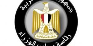 الحكومة توضح حقيقة فيديو وجود عيوب هندسية بكوبرى 45 الدولى بالإسكندرية