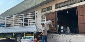 رحلات «البر» تزيد الإقبال على أسواق الحطب والفحم