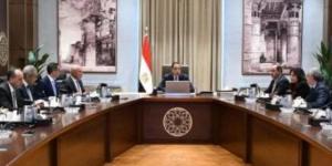 رئيس الوزراء يستعرض فرص توطين صناعة السيارات وزيادة تنافسية المناطق الحرة