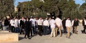 مستوطنون يؤدون طقوسا تلمودية عند مدخل سنجل شمال رام الله لليوم الثانى على التوالى