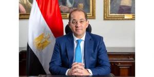 وزير المالية يعلن إطلاق أول «موبايل أبلكيشن» لخدمات الضرائب العقارية