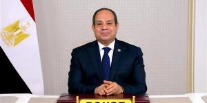 السيسي: أمن الدول العربية جزء لا يتجزأ من الأمن القومي المصري
