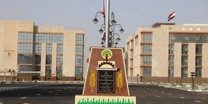 بعد شكاوى المواطنين، محافظة الوادي الجديد تحسم موقف تراخيص اللافتات الإعلانية بشارع موط
