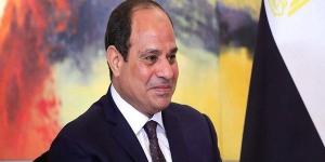 السيسي للسفراء الجدد: نحرص على تطوير التعاون وترسيخ العلاقات في مختلف المجالات