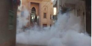 تكثيف حملات رش الناموس والحشرات الطائرة بمراكز الشرقية