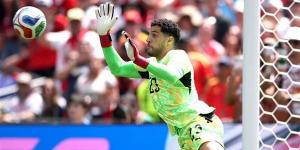 شوبير البطل وأرقام تاريخية، حصاد مشاركة مصر في كأس العالم