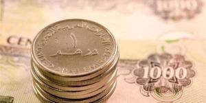 آخر تطورات سعر الدرهم الإماراتي أمام الجنيه في البنوك المصرية