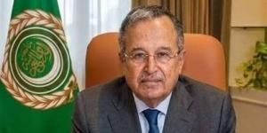 نبيل فهمي يجري اتصالات هاتفية مع وزراء خارجية الإمارات وعمان والكويت 