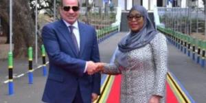 الرئيس السيسى: لقائى مع رئيسة تنزانيا فرصة لتبادل الرؤى لإحداث نقلة نوعية في التعاون الثنائى
