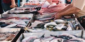 أسعار السمك اليوم الأحد، البلطي بـ 76 جنيها وقشر البياض يصل إلى 310 بعد الارتفاع