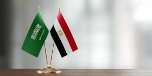 مصر والسعودية تؤكدان ضرورة وقف التصعيد وحماية أمن الملاحة