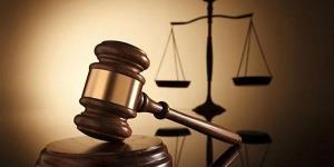 استكمال نظر استئناف المتسبب في وفاة عروس حلوان