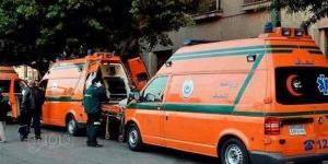 مصرع شخص وإصابة 5 آخرين في 6 حوادث متفرقة بالدقهلية