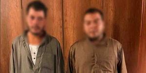 بعد تداول فيديو "سلخ حمار نافق"، تحرك أمني يضبط عاملين في البحيرة