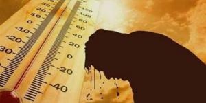حرارته كالجحيم، خبير مناخي: شهر أغسطس بسترة طبيعية للجو وأحذر من زراعة هذه المحاصيل